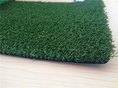  Artificial Turf Grass